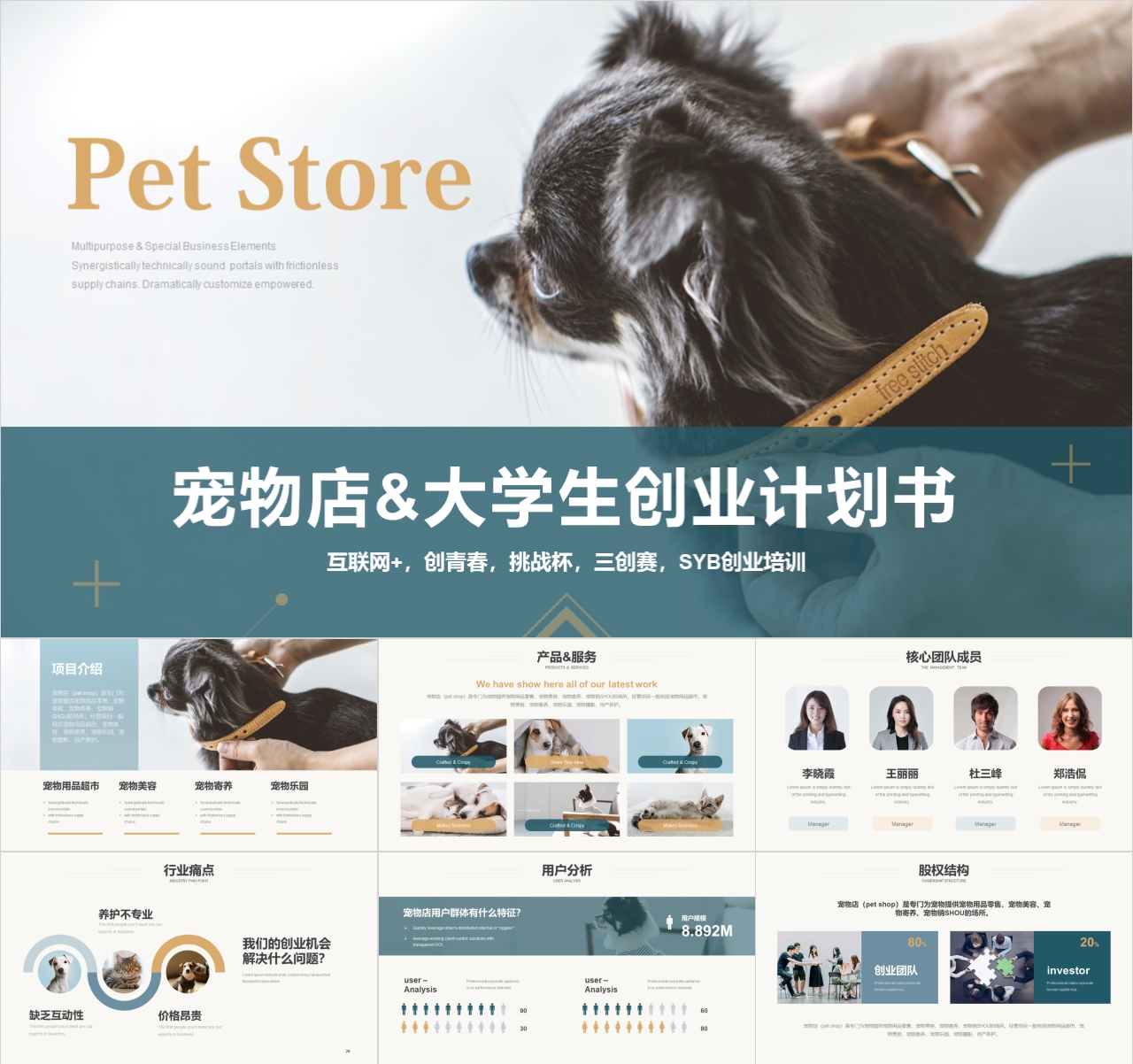 宠物店中国国际大学生创新大赛创业计划书PPT模板+word