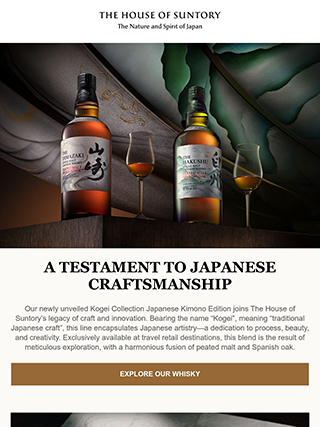 Email电子邮件营销EDM模板