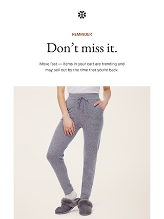 Email电子邮件营销EDM模板