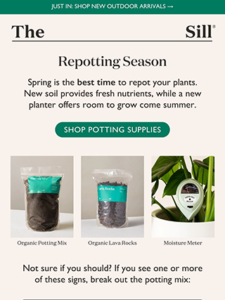 Email电子邮件营销EDM模板